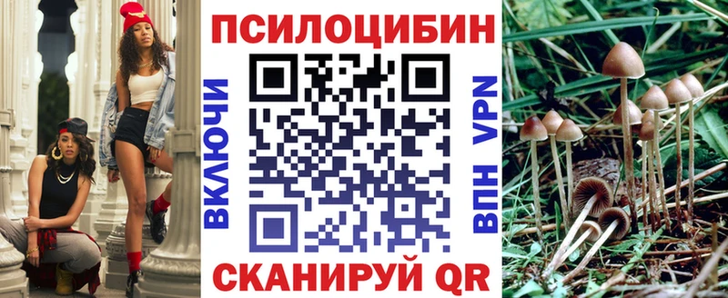 Псилоцибиновые грибы GOLDEN TEACHER  Купить где  Аша 